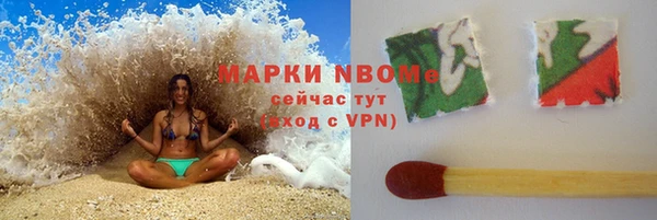 хмурый Богородск