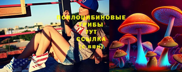хмурый Богородицк