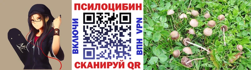 даркнет сайт  кракен рабочий сайт  Галлюциногенные грибы Psilocybine cubensis  Киселёвск 
