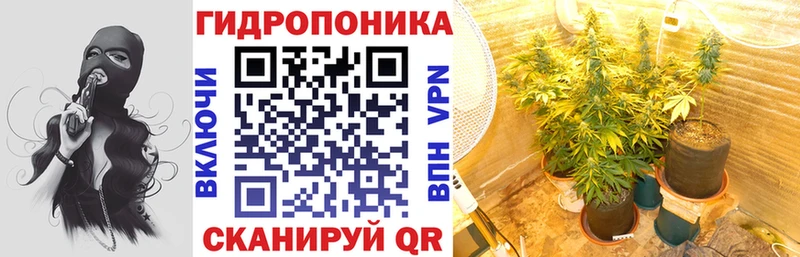 дарнет шоп  Киселёвск  Марихуана планчик 